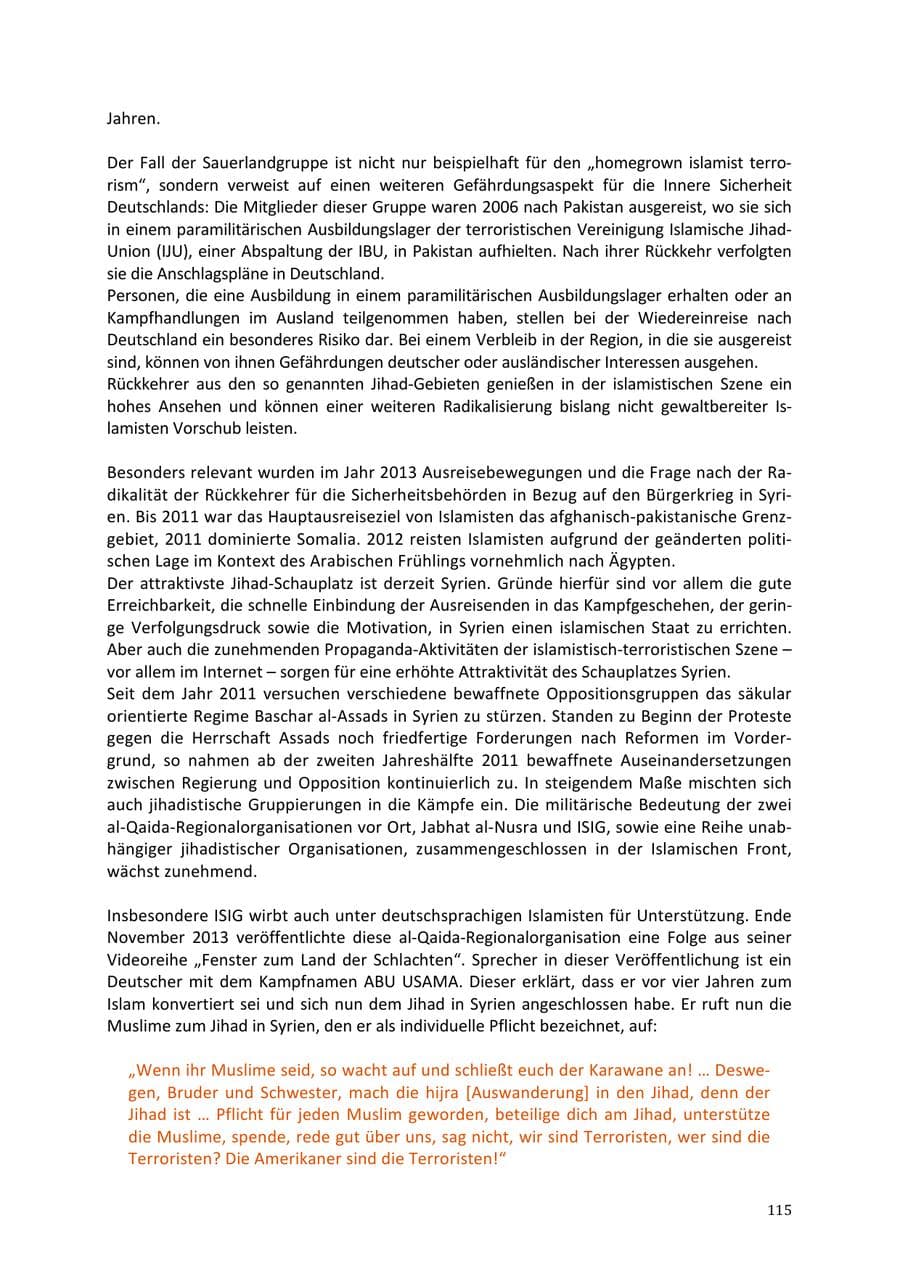 Seite 115 des Verfassungsschutzbericht 2013 Niedersachsen