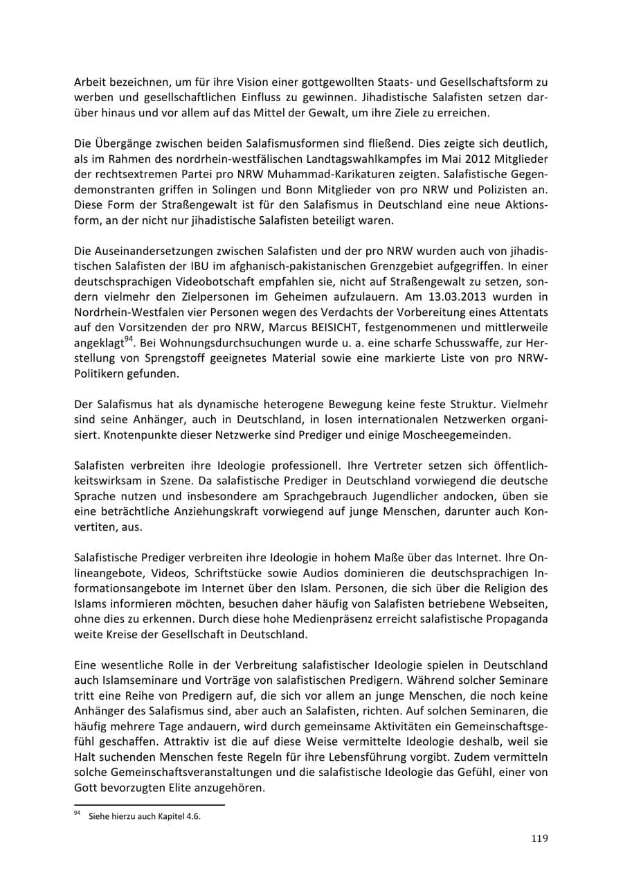 Seite 119 des Verfassungsschutzbericht 2013 Niedersachsen