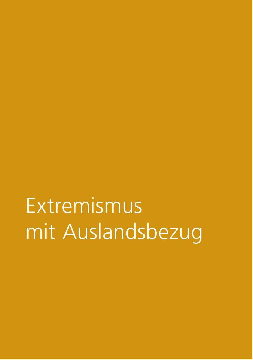 Seite 205 des Verfassungsschutzbericht 2015 Niedersachsen