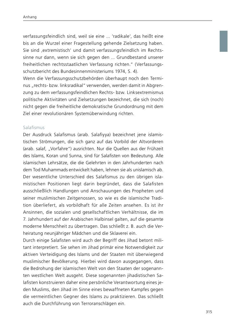Seite 317 des Verfassungsschutzbericht 2017 Niedersachsen