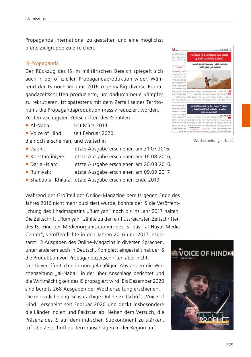 Seite 231 des Verfassungsschutzbericht 2020 Niedersachsen