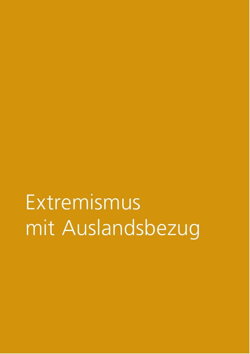 Seite 261 des Verfassungsschutzbericht 2020 Niedersachsen