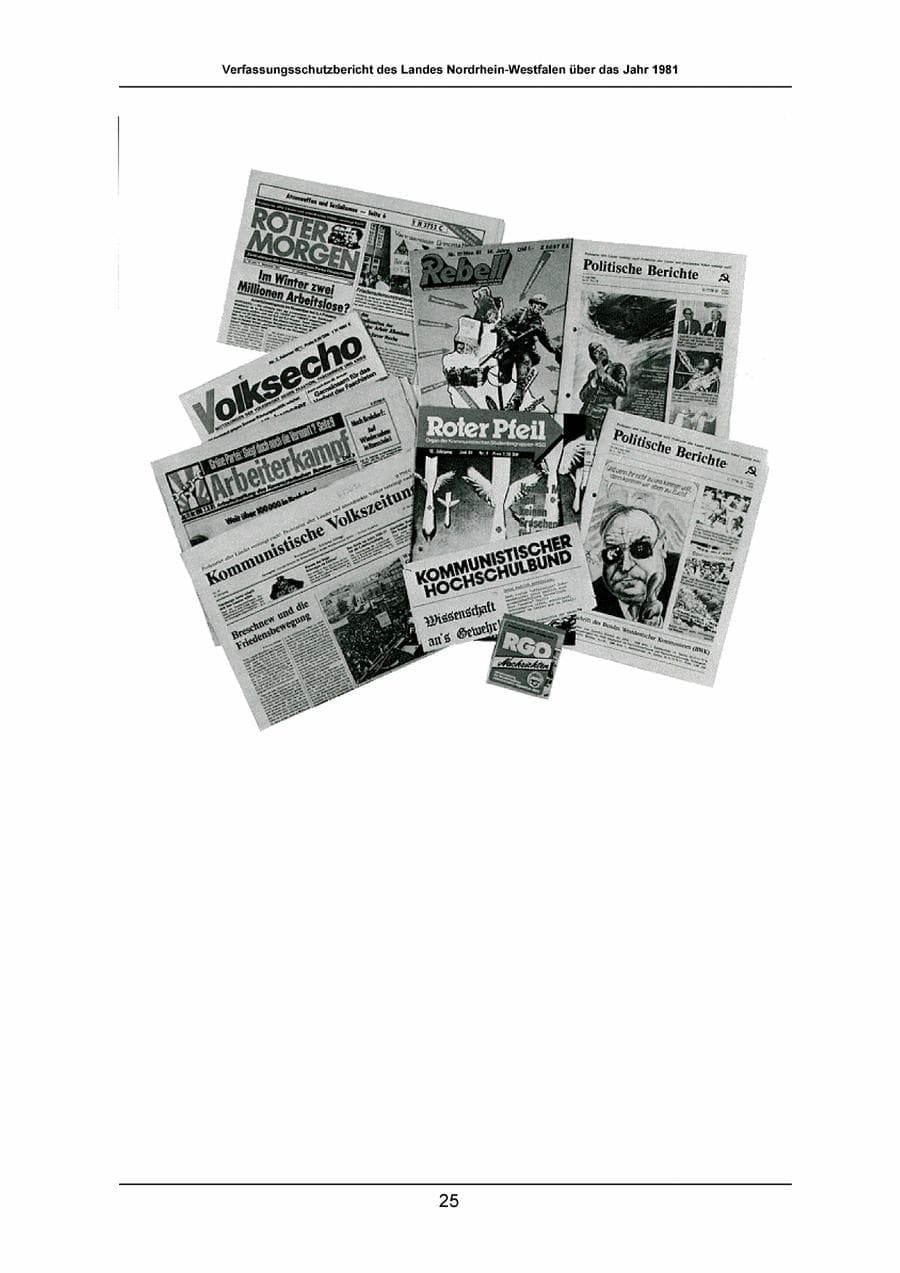 Seite 25 des Verfassungsschutzbericht 1981 Nordrhein-Westfalen