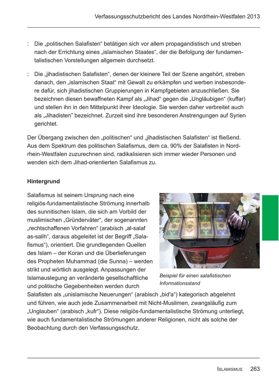 Seite 265 des Verfassungsschutzbericht 2013 Nordrhein-Westfalen