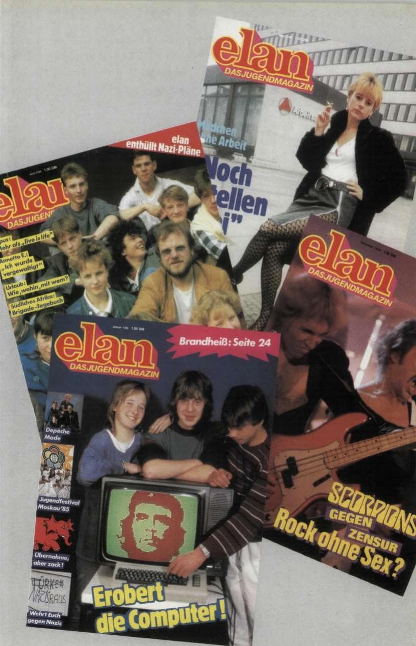 Seite 31 des Verfassungsschutzbericht 1985 Rheinland-Pfalz