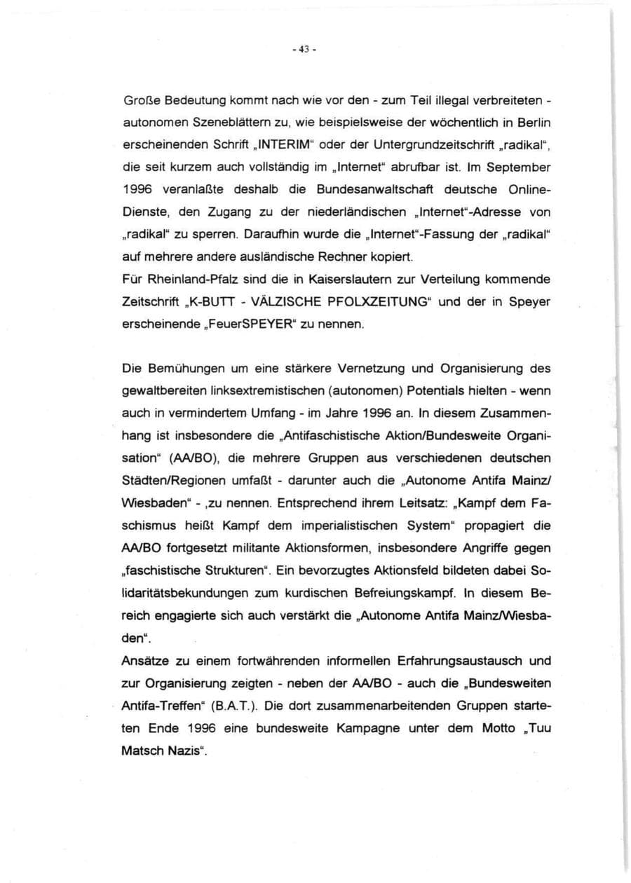 Seite 45 des Verfassungsschutzbericht 1996 Rheinland-Pfalz