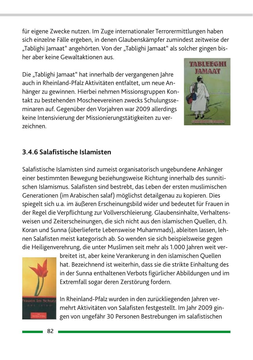 Seite 83 des Verfassungsschutzbericht 2009 Rheinland-Pfalz