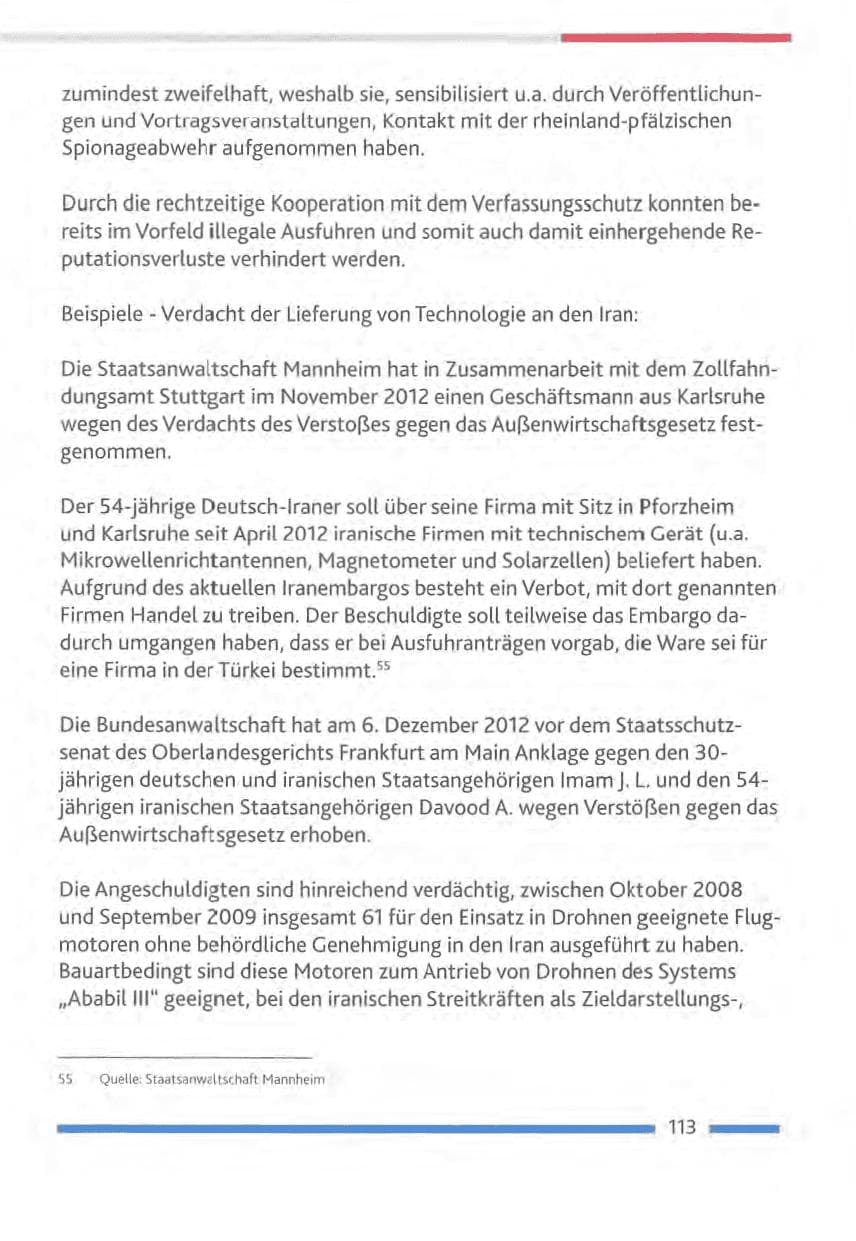 Seite 113 des Verfassungsschutzbericht 2012 Rheinland-Pfalz