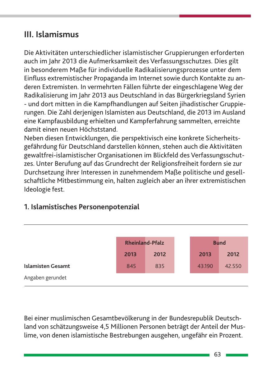 Seite 65 des Verfassungsschutzbericht 2013 Rheinland-Pfalz