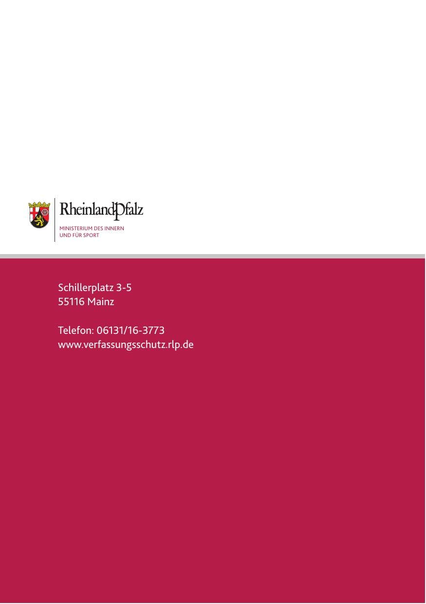 Seite 119 des Verfassungsschutzbericht 2016 Rheinland-Pfalz