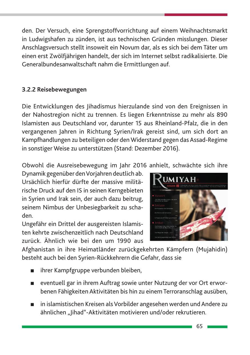 Seite 67 des Verfassungsschutzbericht 2016 Rheinland-Pfalz