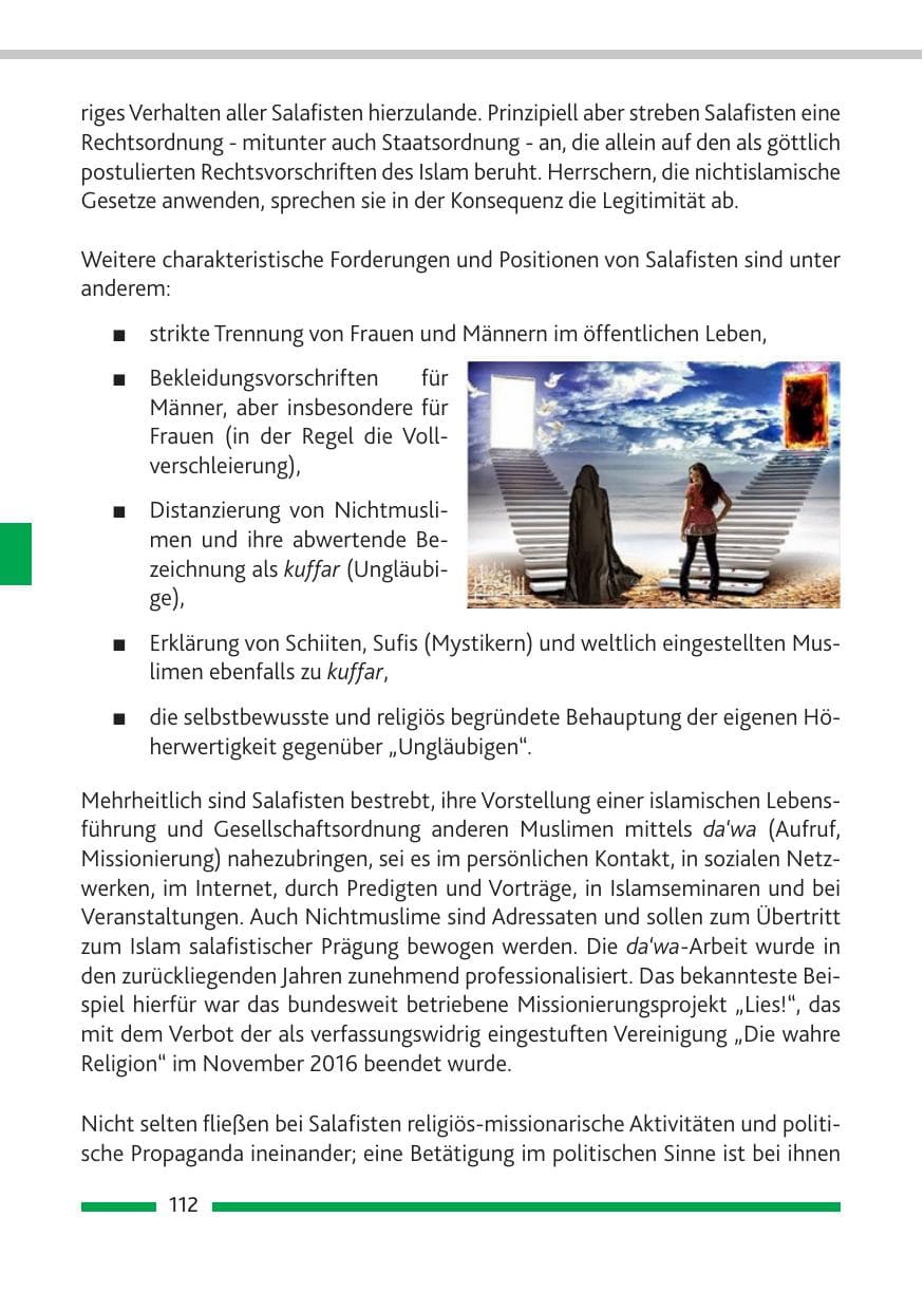 Seite 113 des Verfassungsschutzbericht 2019 Rheinland-Pfalz