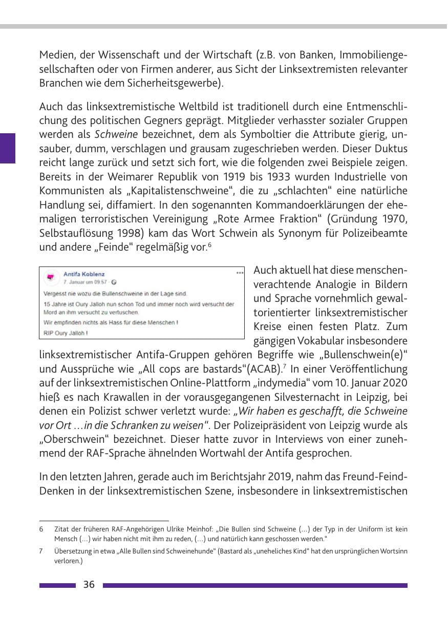Seite 37 des Verfassungsschutzbericht 2019 Rheinland-Pfalz