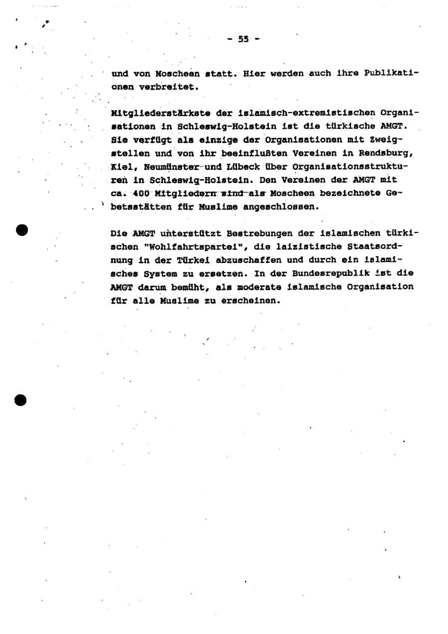 Seite 60 des Verfassungsschutzbericht 1994 Schleswig-Holstein