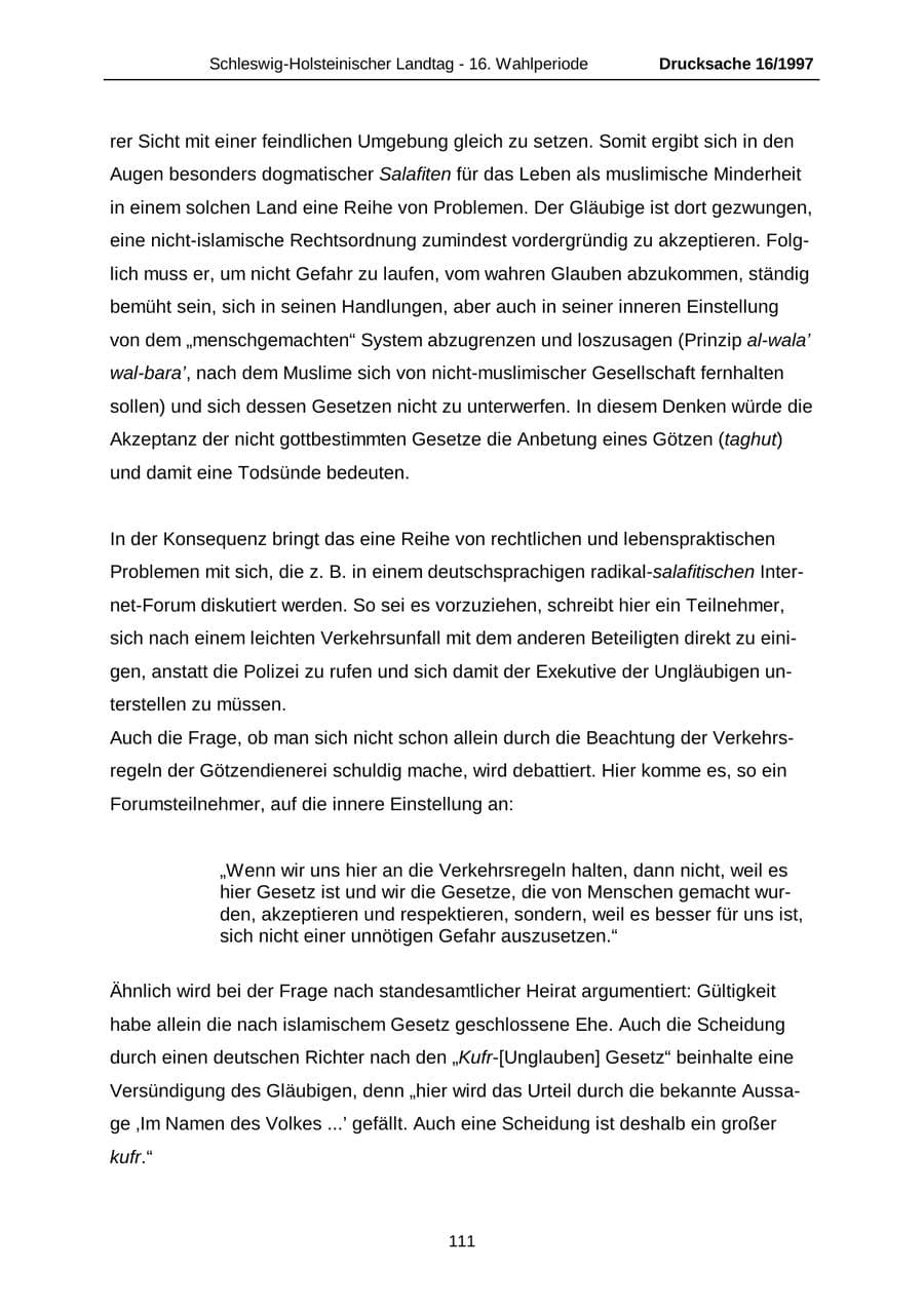 Seite 111 des Verfassungsschutzbericht 2007 Schleswig-Holstein