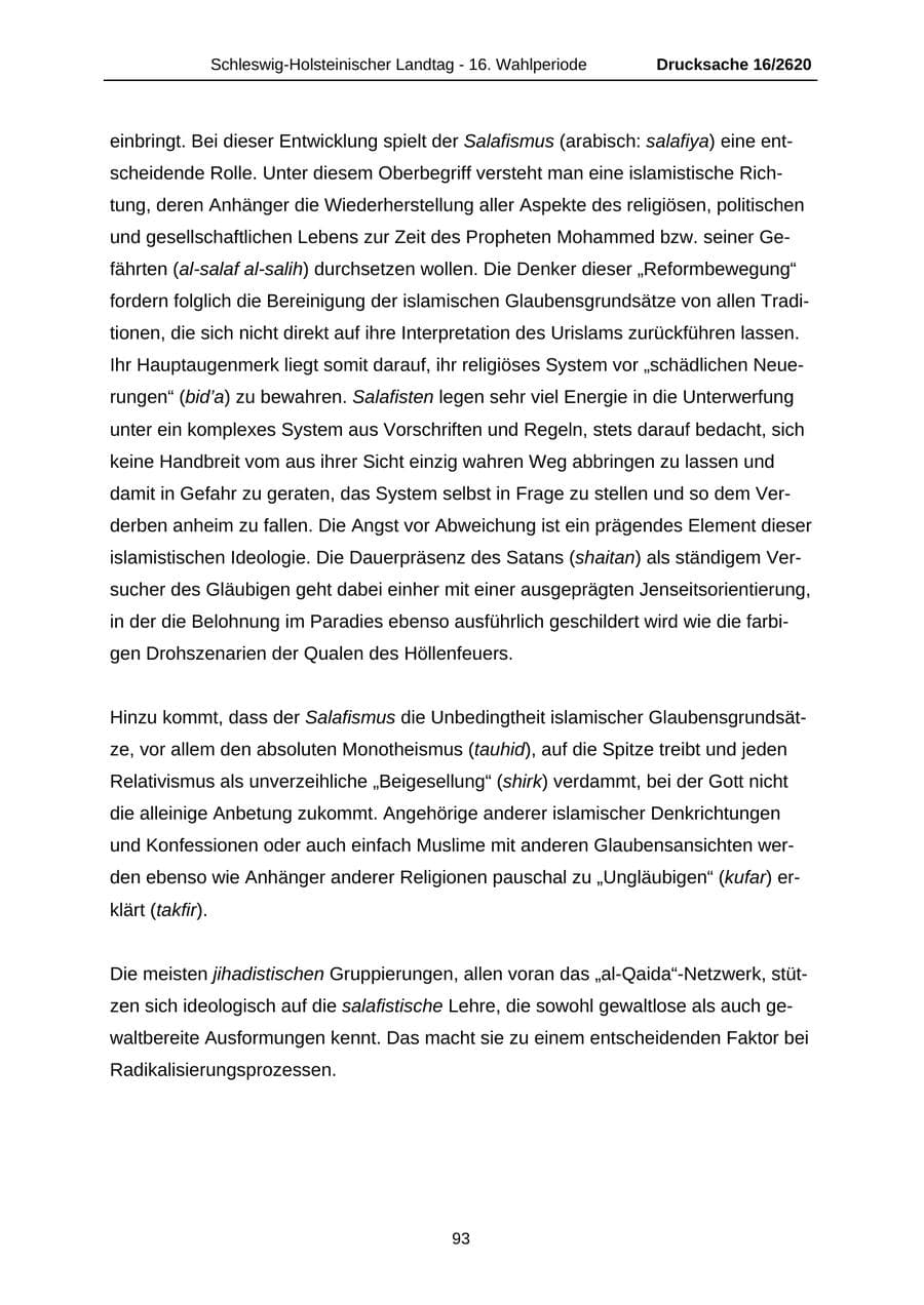 Seite 93 des Verfassungsschutzbericht 2008 Schleswig-Holstein