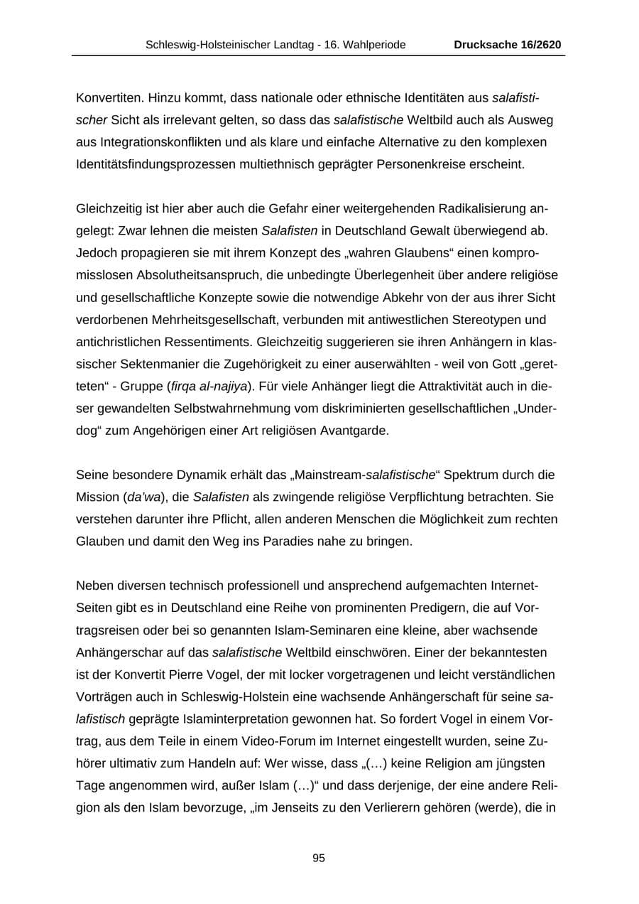 Seite 95 des Verfassungsschutzbericht 2008 Schleswig-Holstein