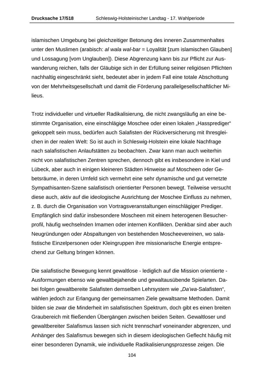 Seite 104 des Verfassungsschutzbericht 2009 Schleswig-Holstein