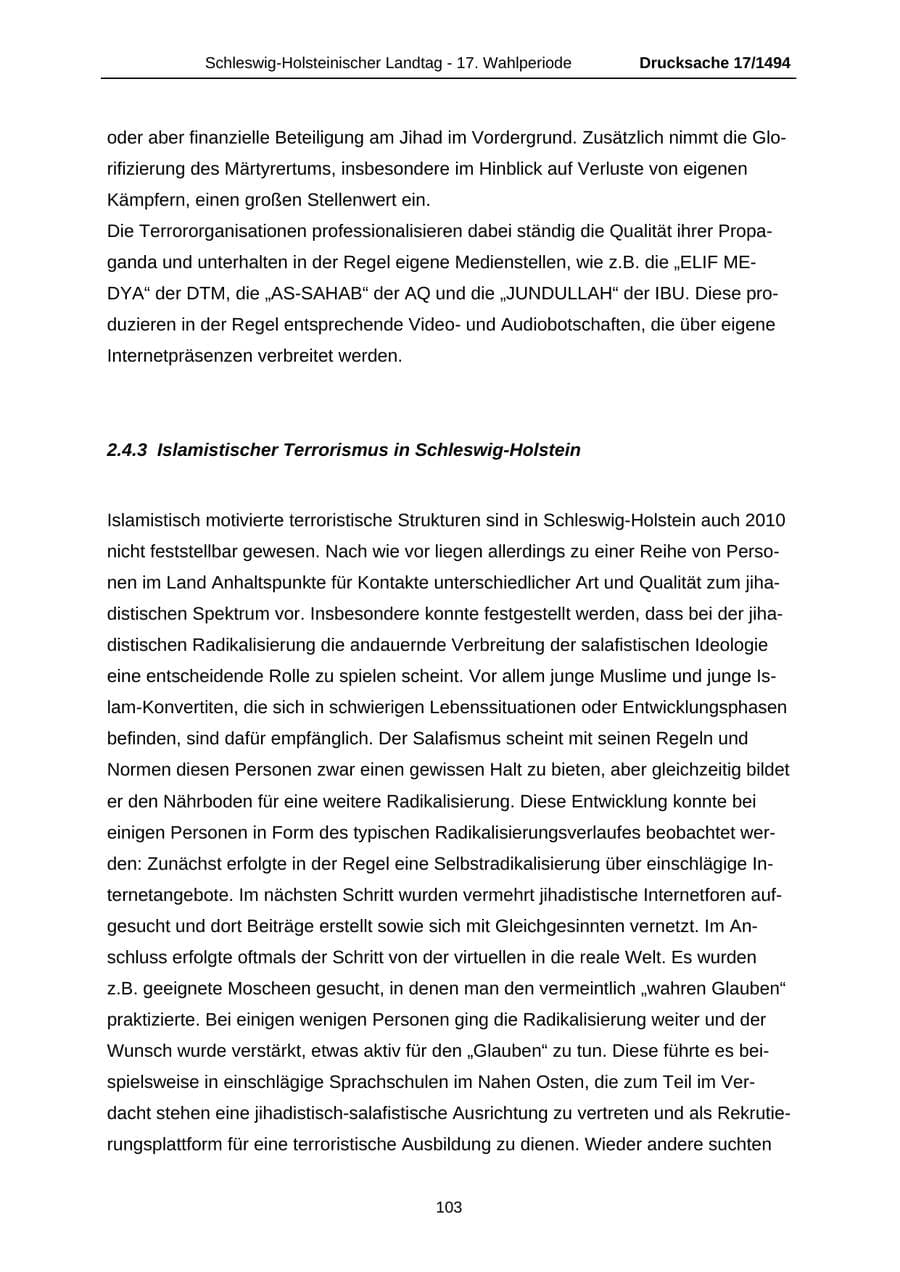 Seite 103 des Verfassungsschutzbericht 2010 Schleswig-Holstein