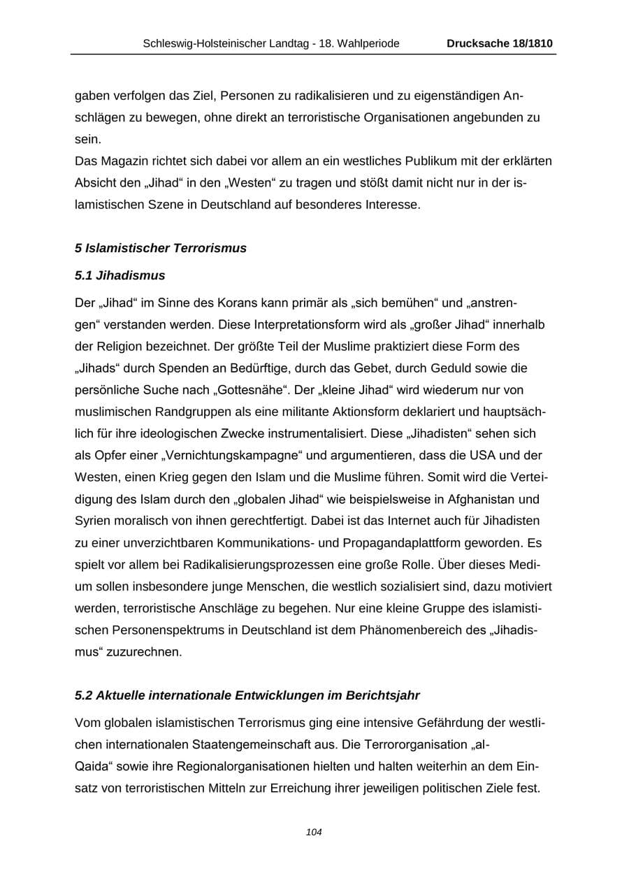 Seite 104 des Verfassungsschutzbericht 2013 Schleswig-Holstein