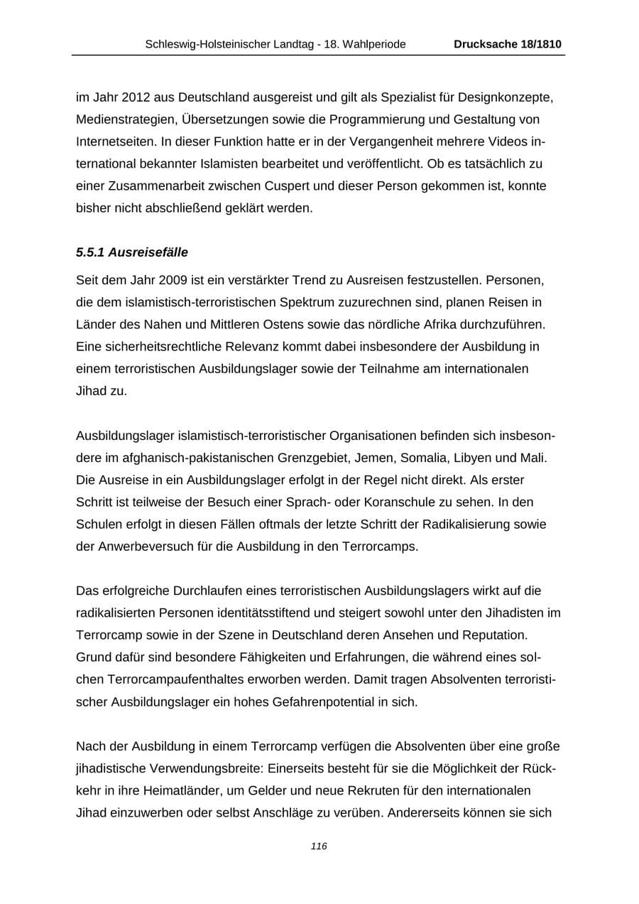 Seite 116 des Verfassungsschutzbericht 2013 Schleswig-Holstein
