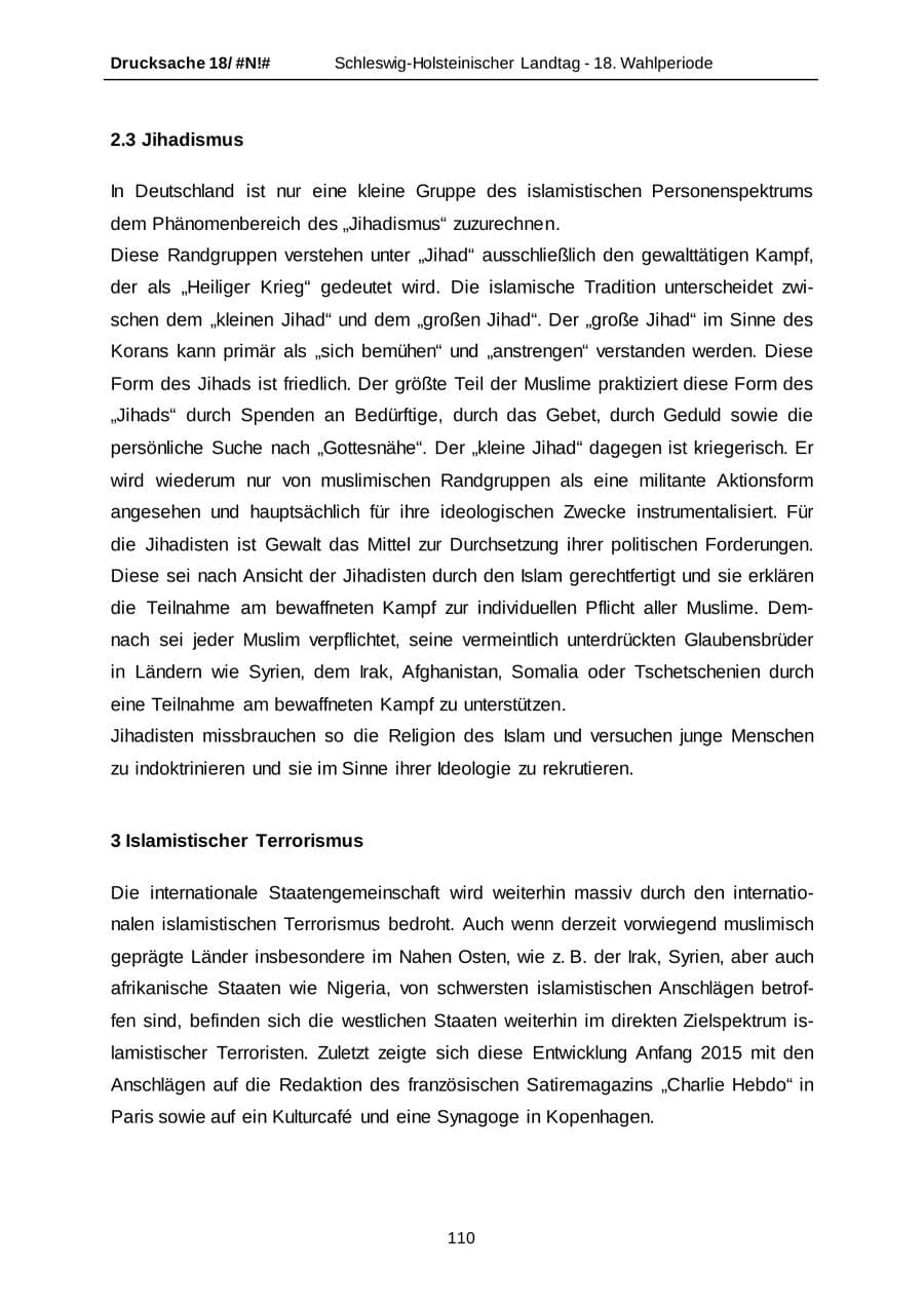 Seite 110 des Verfassungsschutzbericht 2014 Schleswig-Holstein