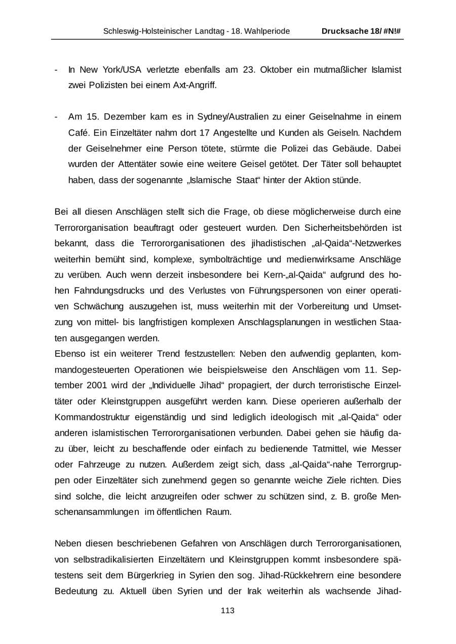 Seite 113 des Verfassungsschutzbericht 2014 Schleswig-Holstein