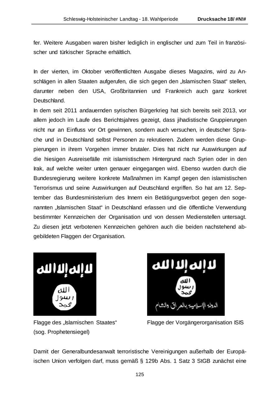Seite 125 des Verfassungsschutzbericht 2014 Schleswig-Holstein