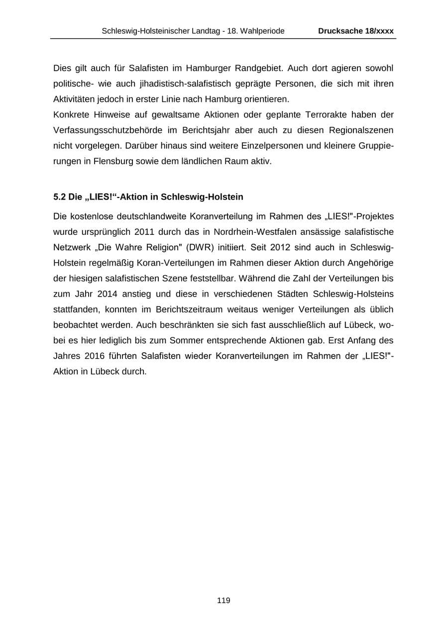 Seite 119 des Verfassungsschutzbericht 2015 Schleswig-Holstein