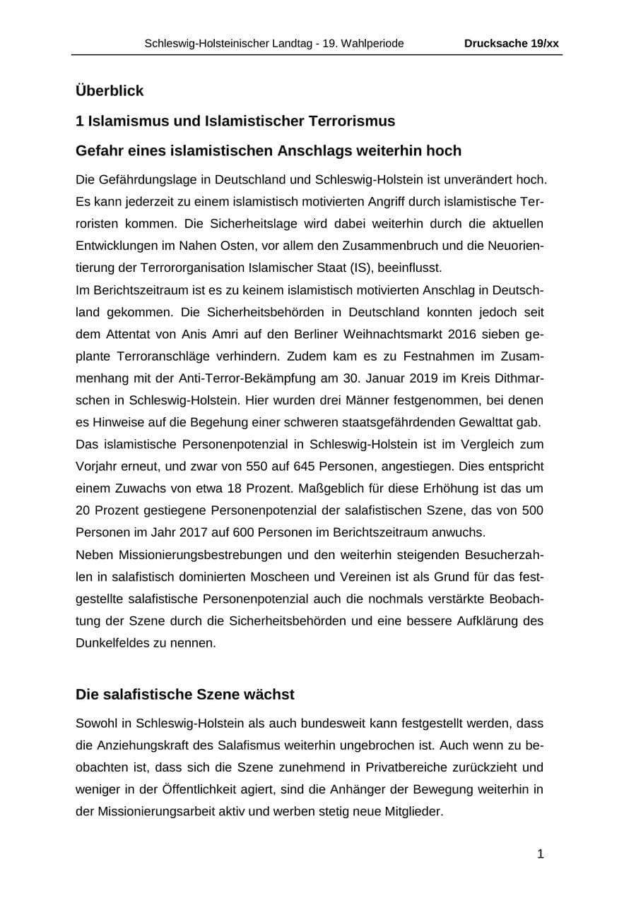 Seite 13 des Verfassungsschutzbericht 2018 Schleswig-Holstein