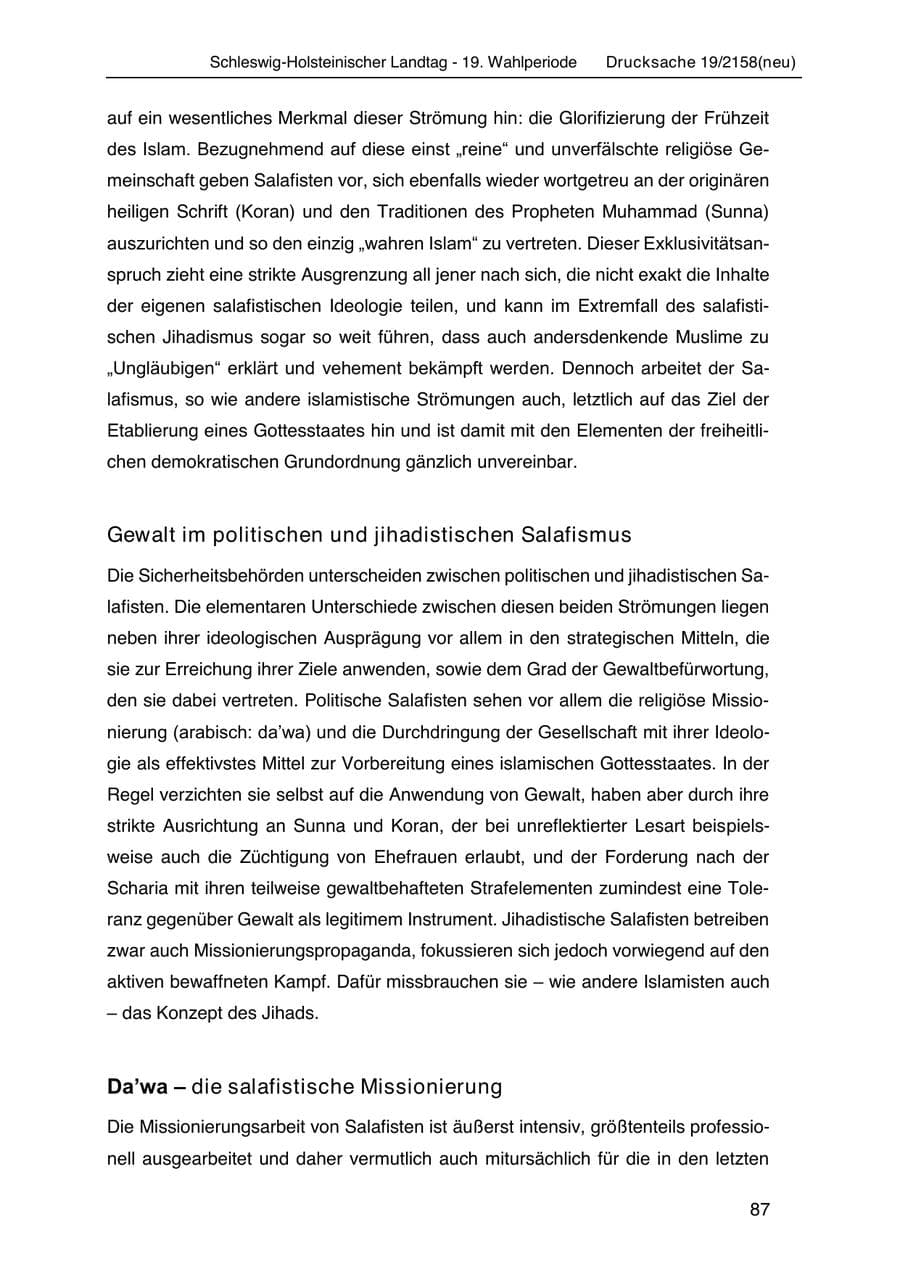 Seite 101 des Verfassungsschutzbericht 2019 Schleswig-Holstein
