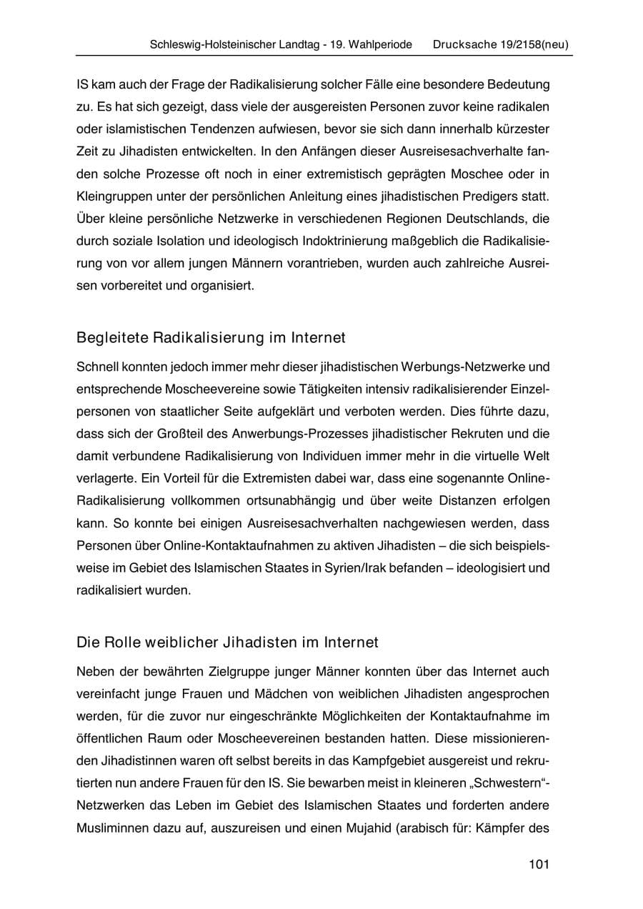 Seite 115 des Verfassungsschutzbericht 2019 Schleswig-Holstein