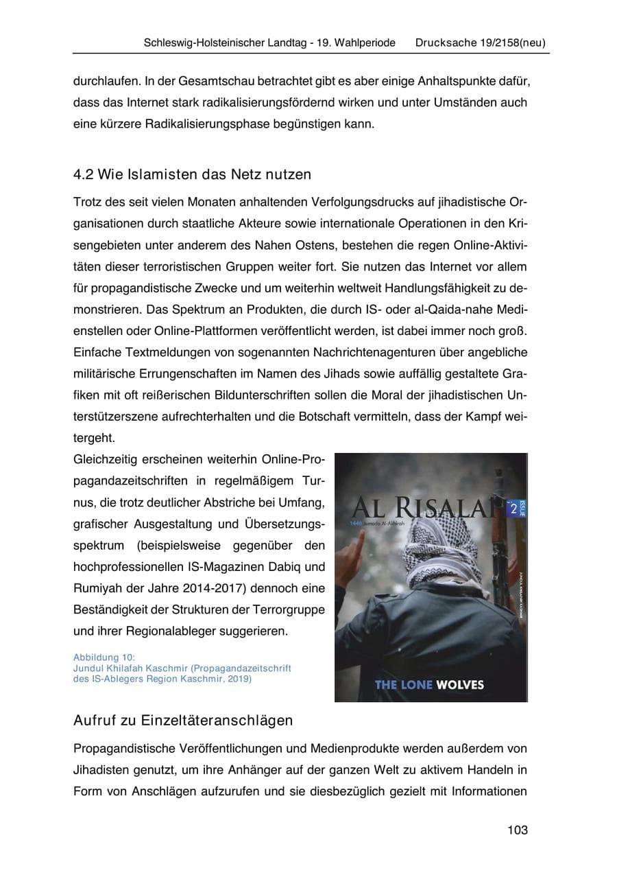 Seite 117 des Verfassungsschutzbericht 2019 Schleswig-Holstein