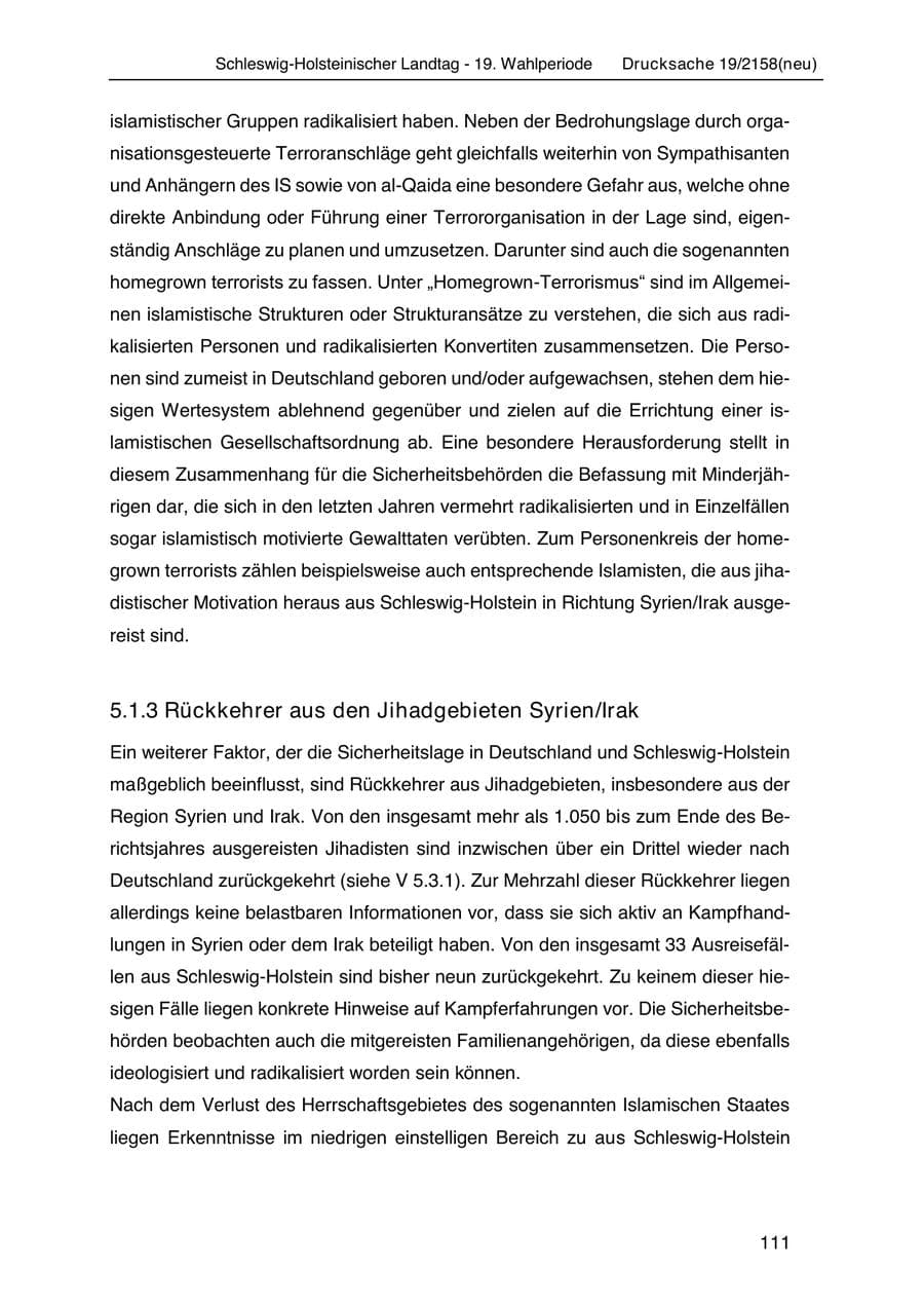 Seite 125 des Verfassungsschutzbericht 2019 Schleswig-Holstein