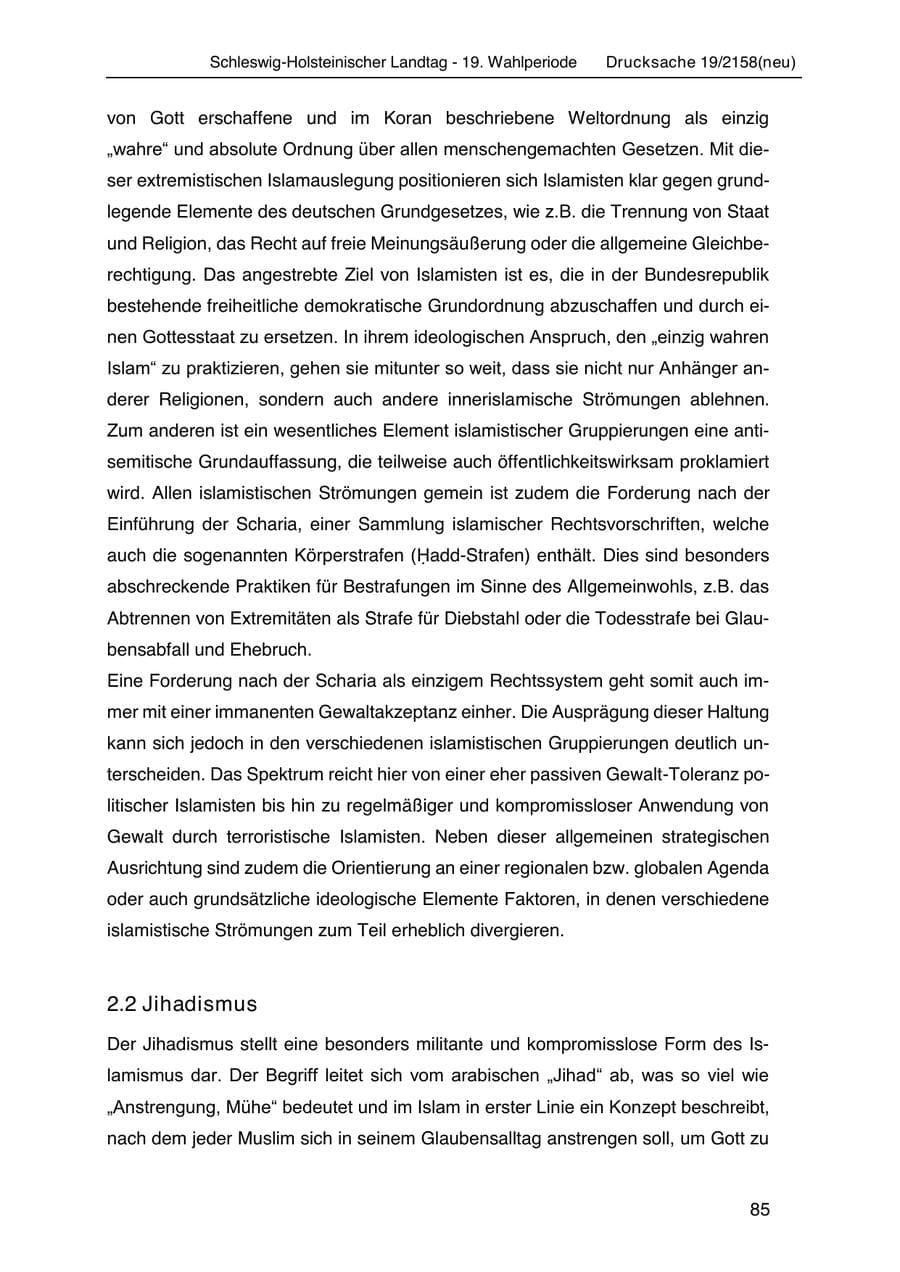 Seite 99 des Verfassungsschutzbericht 2019 Schleswig-Holstein