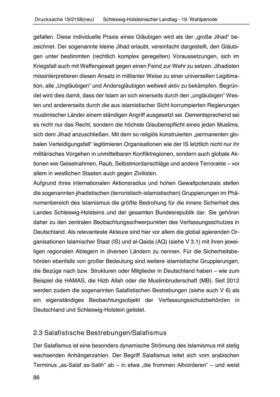 Seite 100 des Verfassungsschutzbericht 2019 Schleswig-Holstein