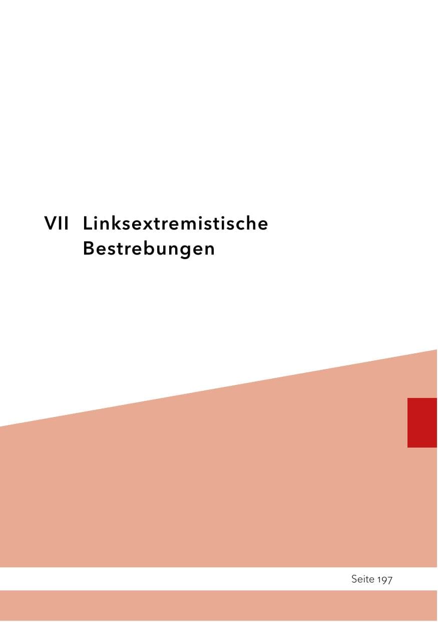 Seite 221 des Verfassungsschutzbericht 2023 Schleswig-Holstein