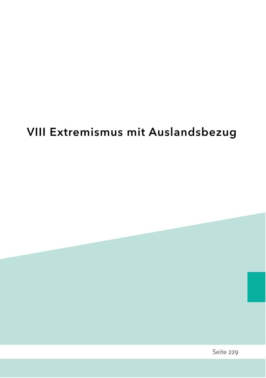 Seite 253 des Verfassungsschutzbericht 2023 Schleswig-Holstein