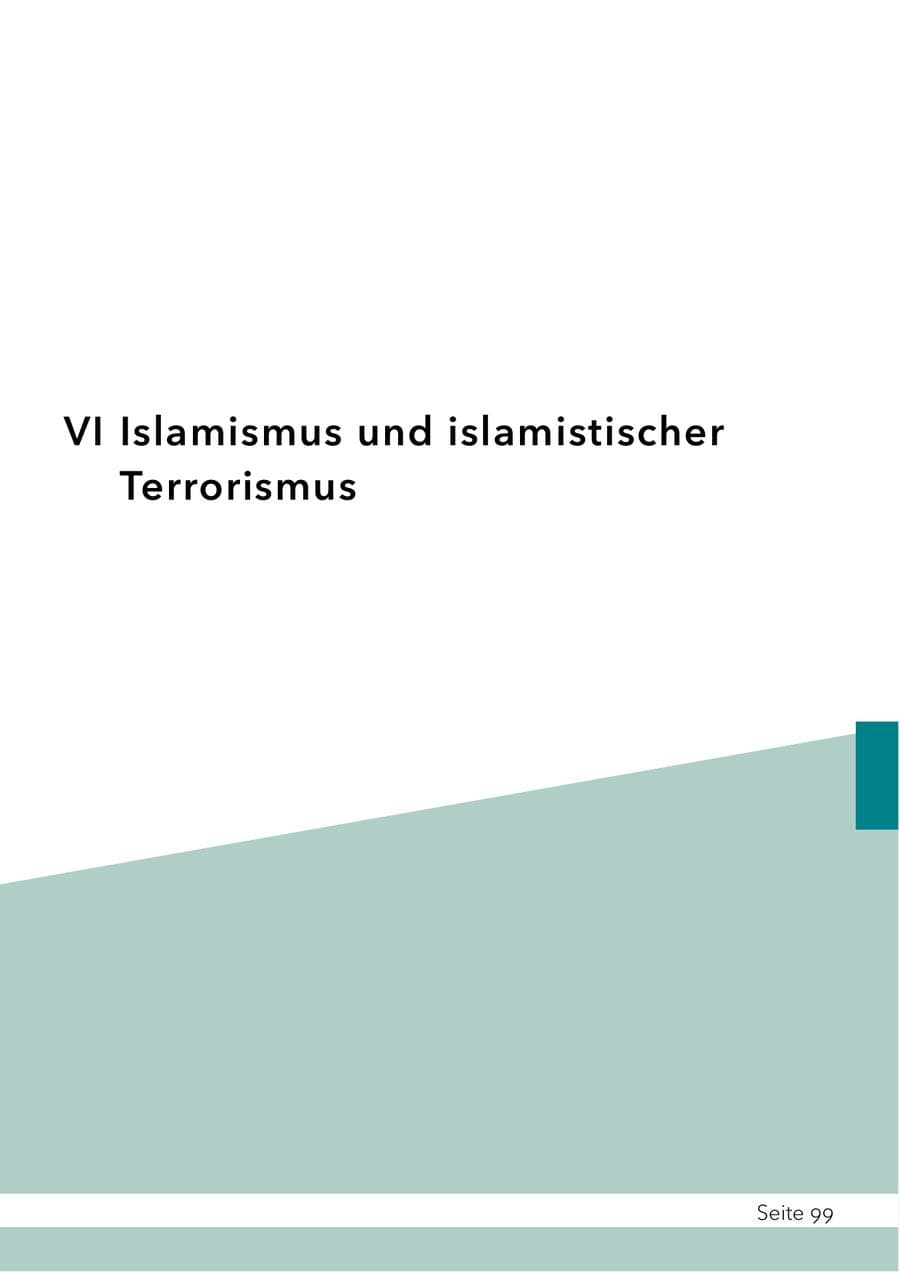 Seite 116 des Verfassungsschutzbericht 2024 Schleswig-Holstein