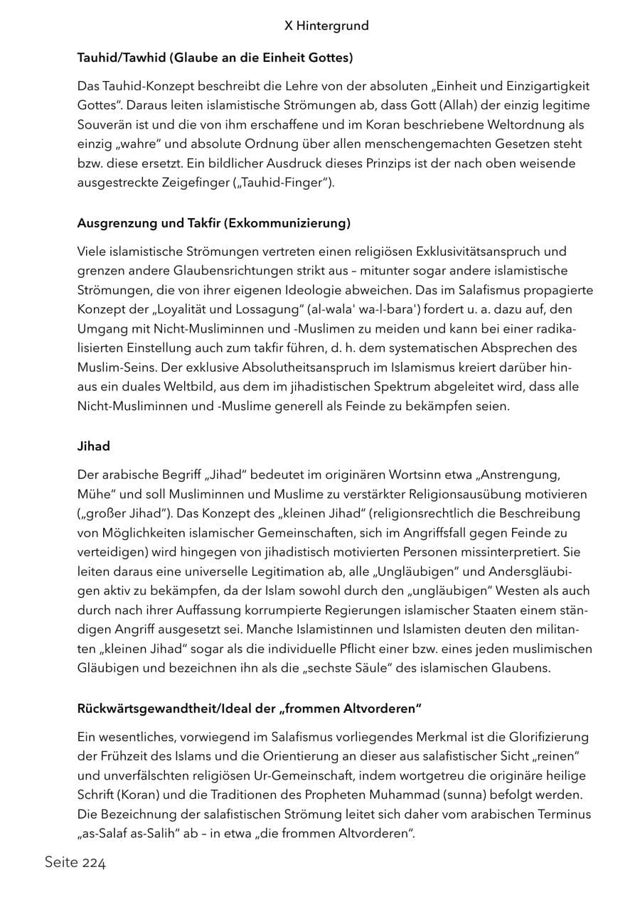 Seite 241 des Verfassungsschutzbericht 2024 Schleswig-Holstein