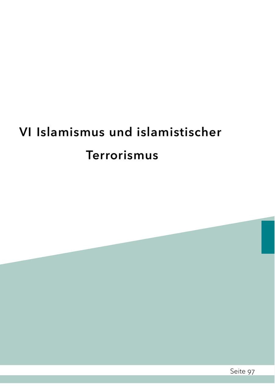 Seite 113 des Verfassungsschutzbericht 2025 Schleswig-Holstein