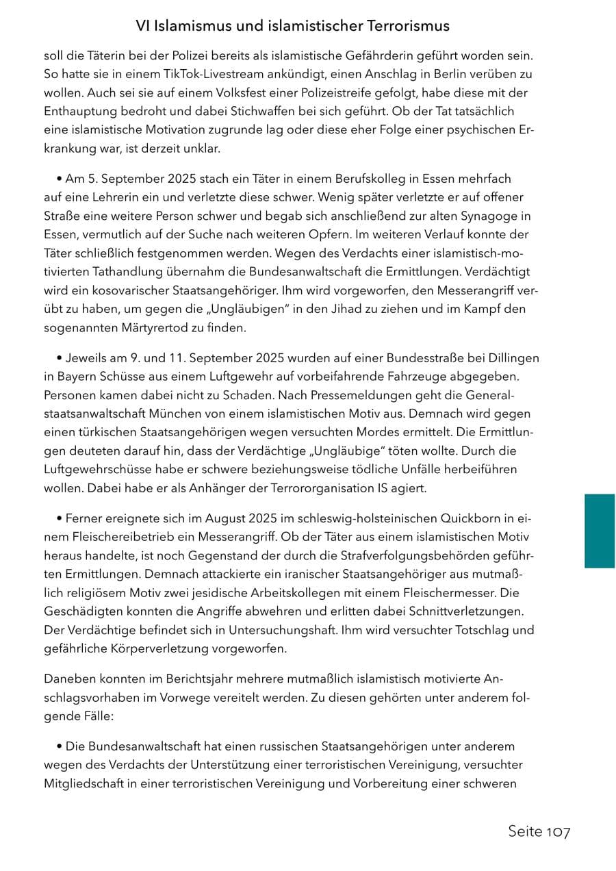 Seite 123 des Verfassungsschutzbericht 2025 Schleswig-Holstein