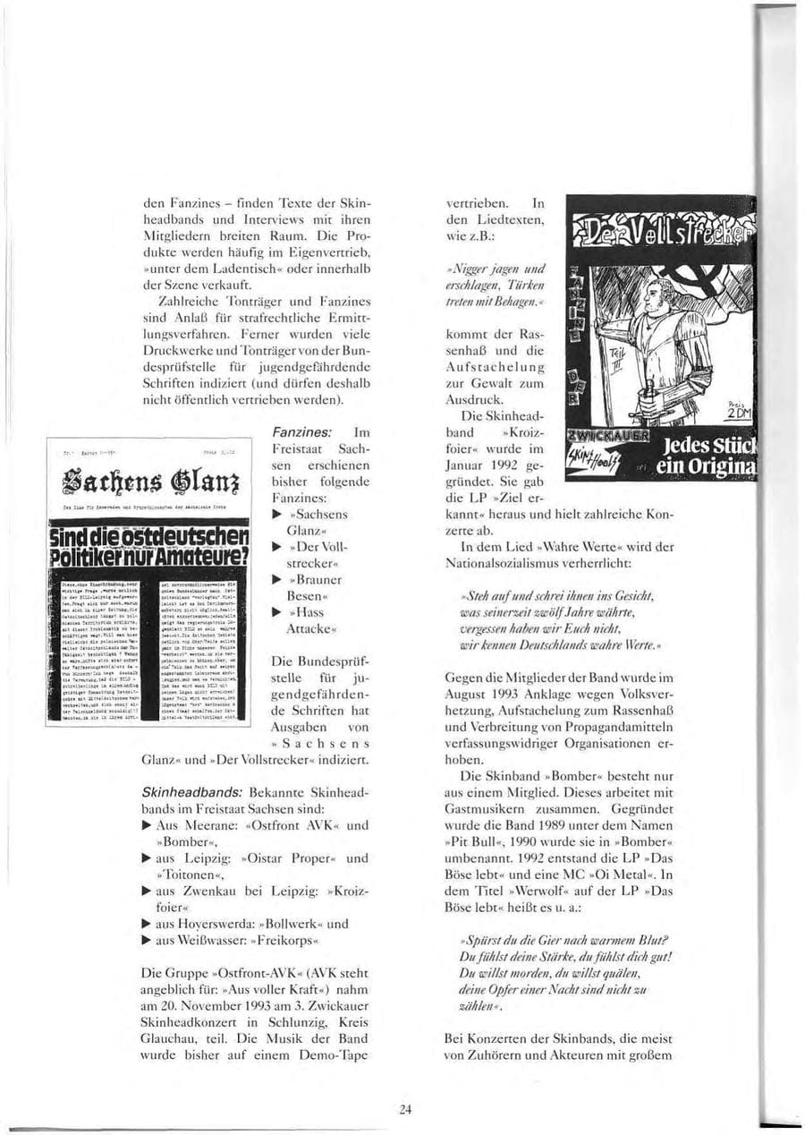 Seite 25 des Verfassungsschutzbericht 1993 Sachsen