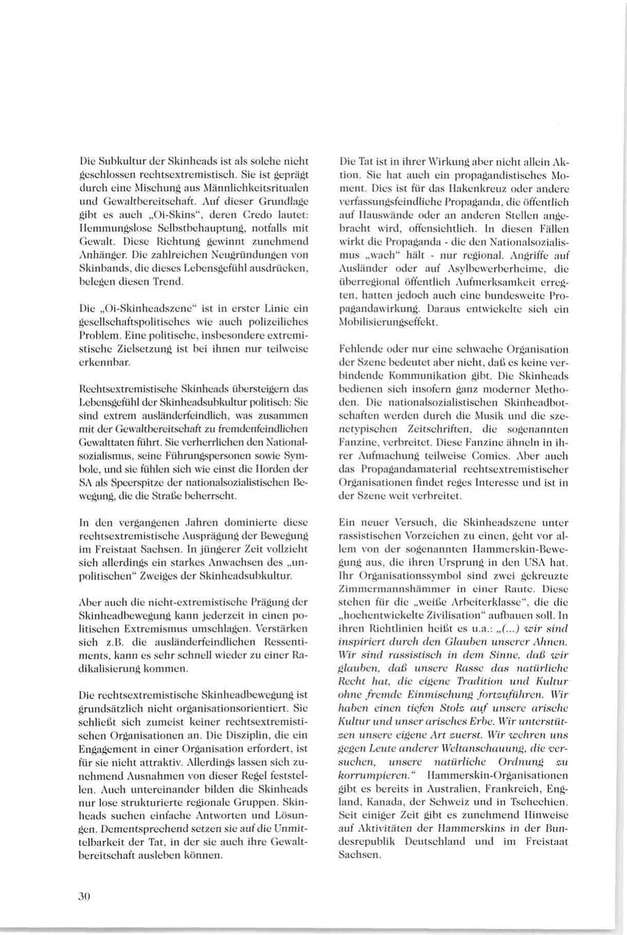Seite 31 des Verfassungsschutzbericht 1995 Sachsen