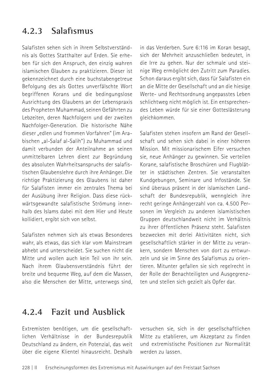 Seite 230 des Verfassungsschutzbericht 2012 Sachsen