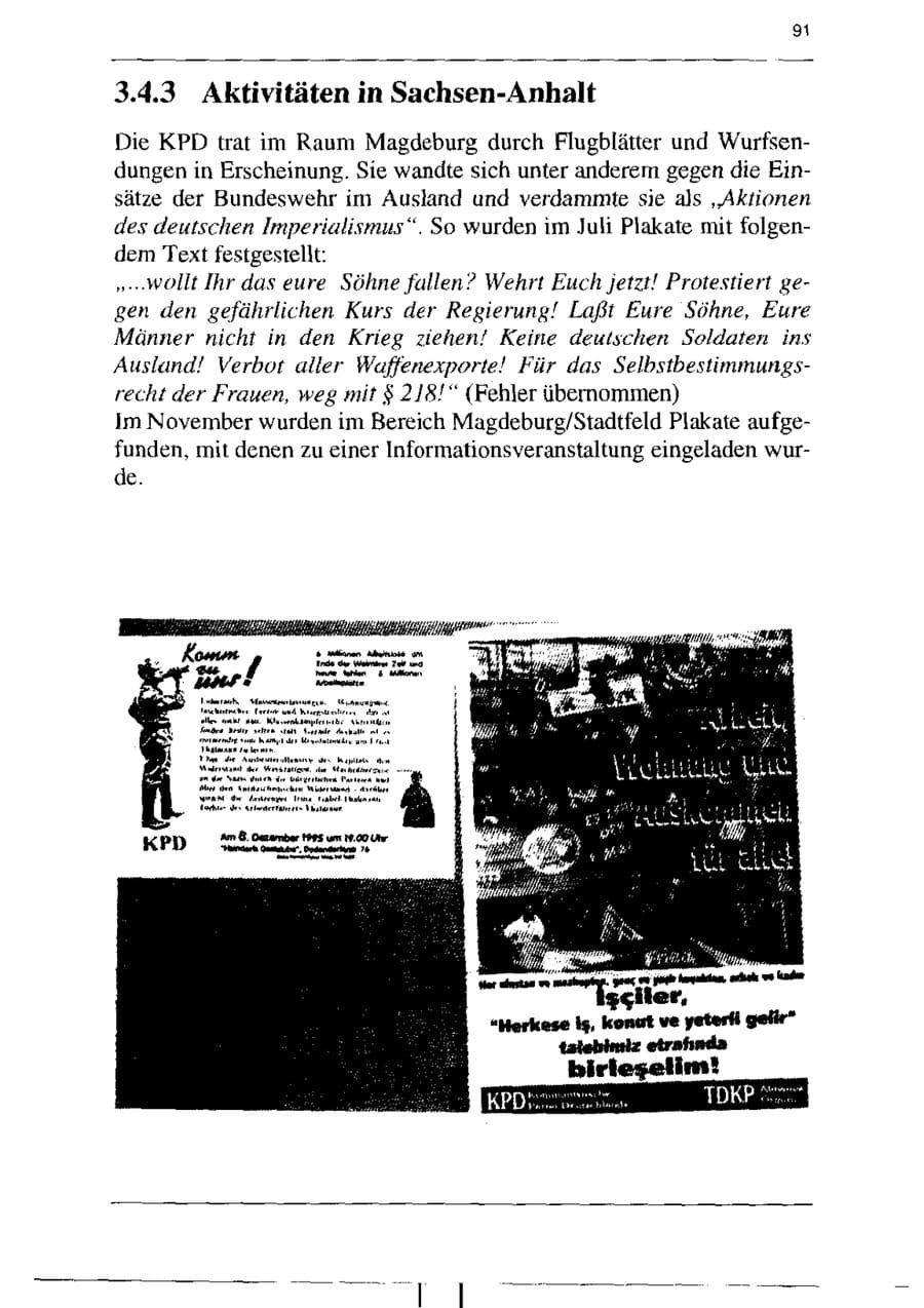 Seite 103 des Verfassungsschutzbericht 1995 Sachsen-Anhalt