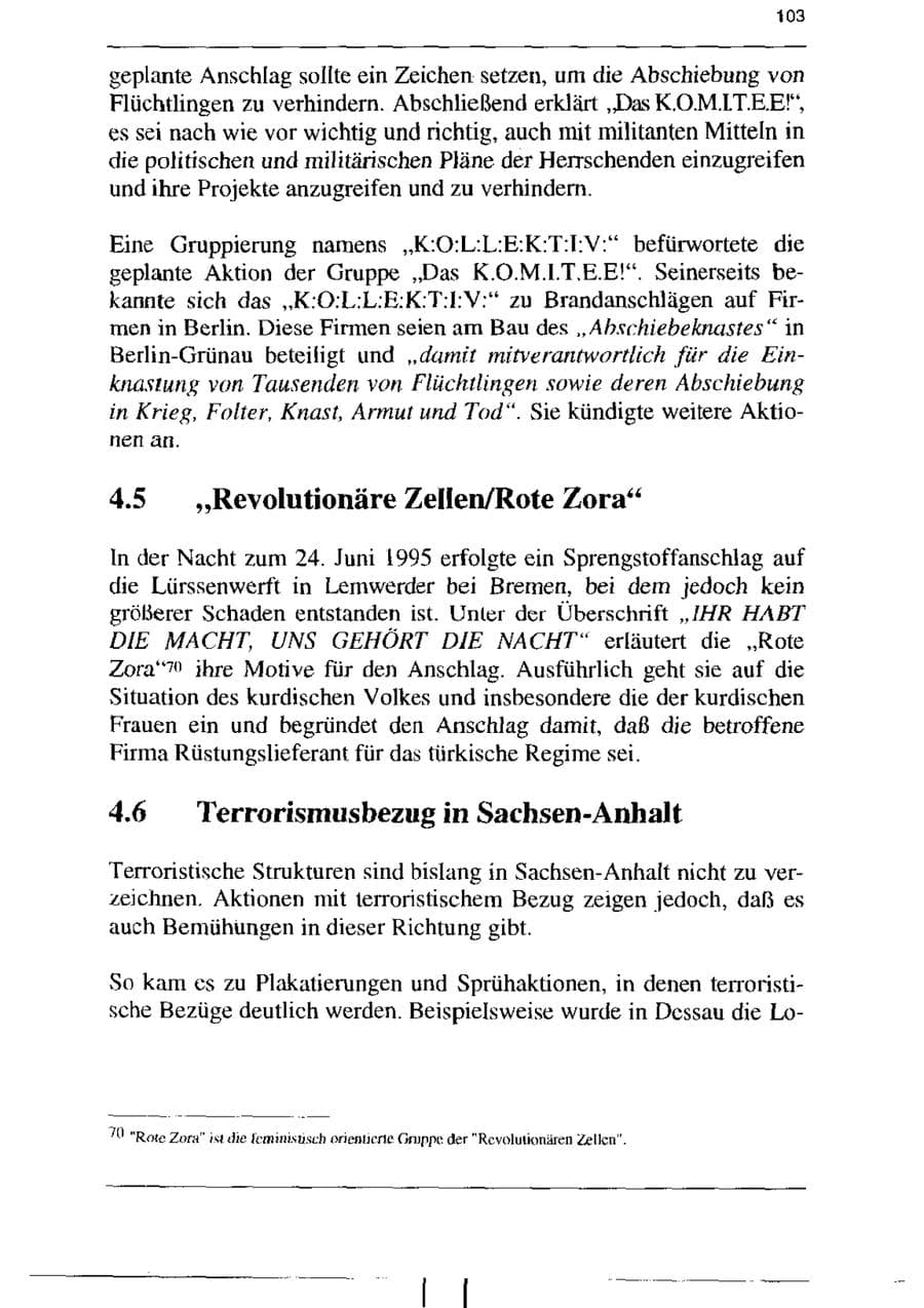 Seite 115 des Verfassungsschutzbericht 1995 Sachsen-Anhalt