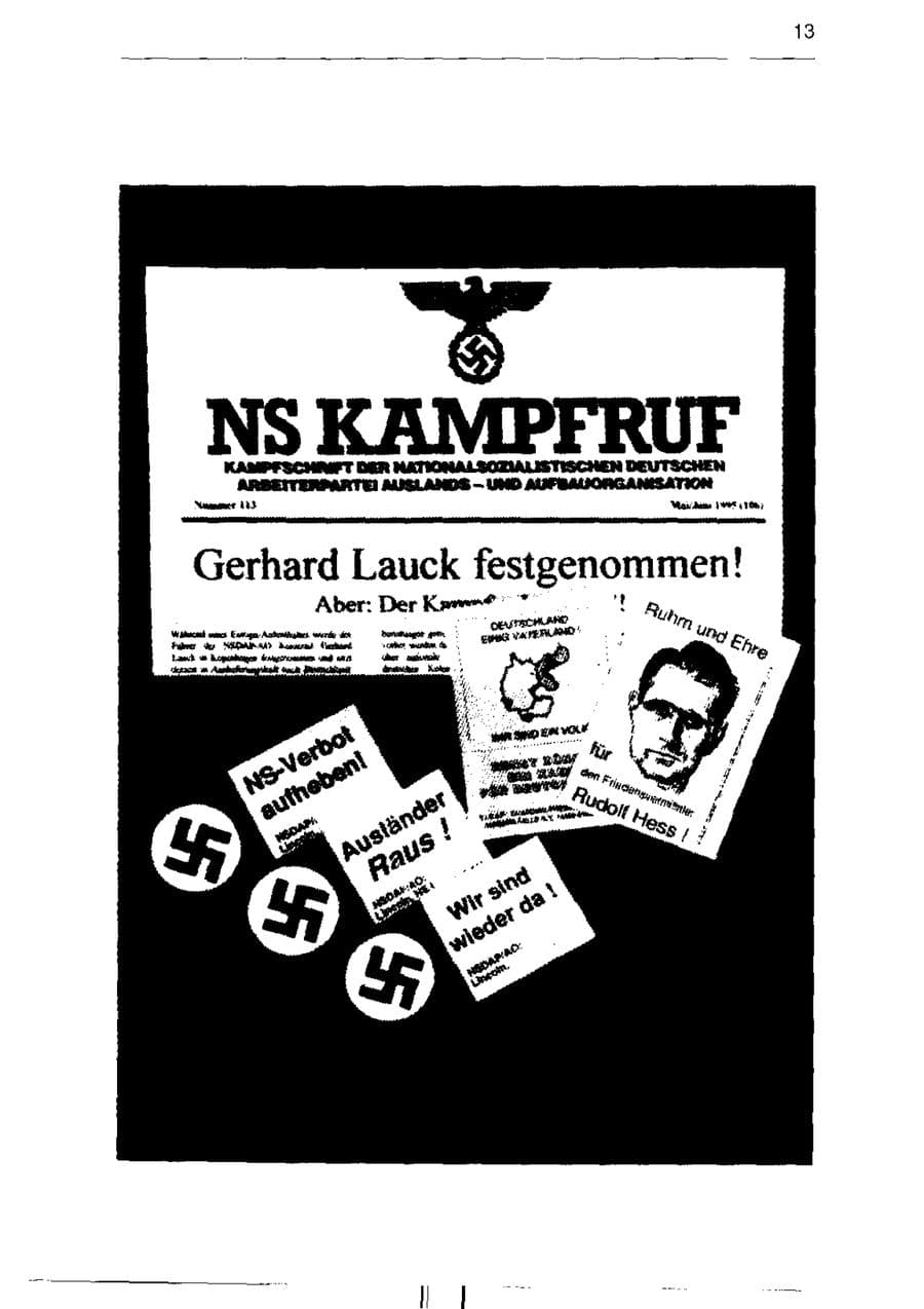Seite 25 des Verfassungsschutzbericht 1995 Sachsen-Anhalt