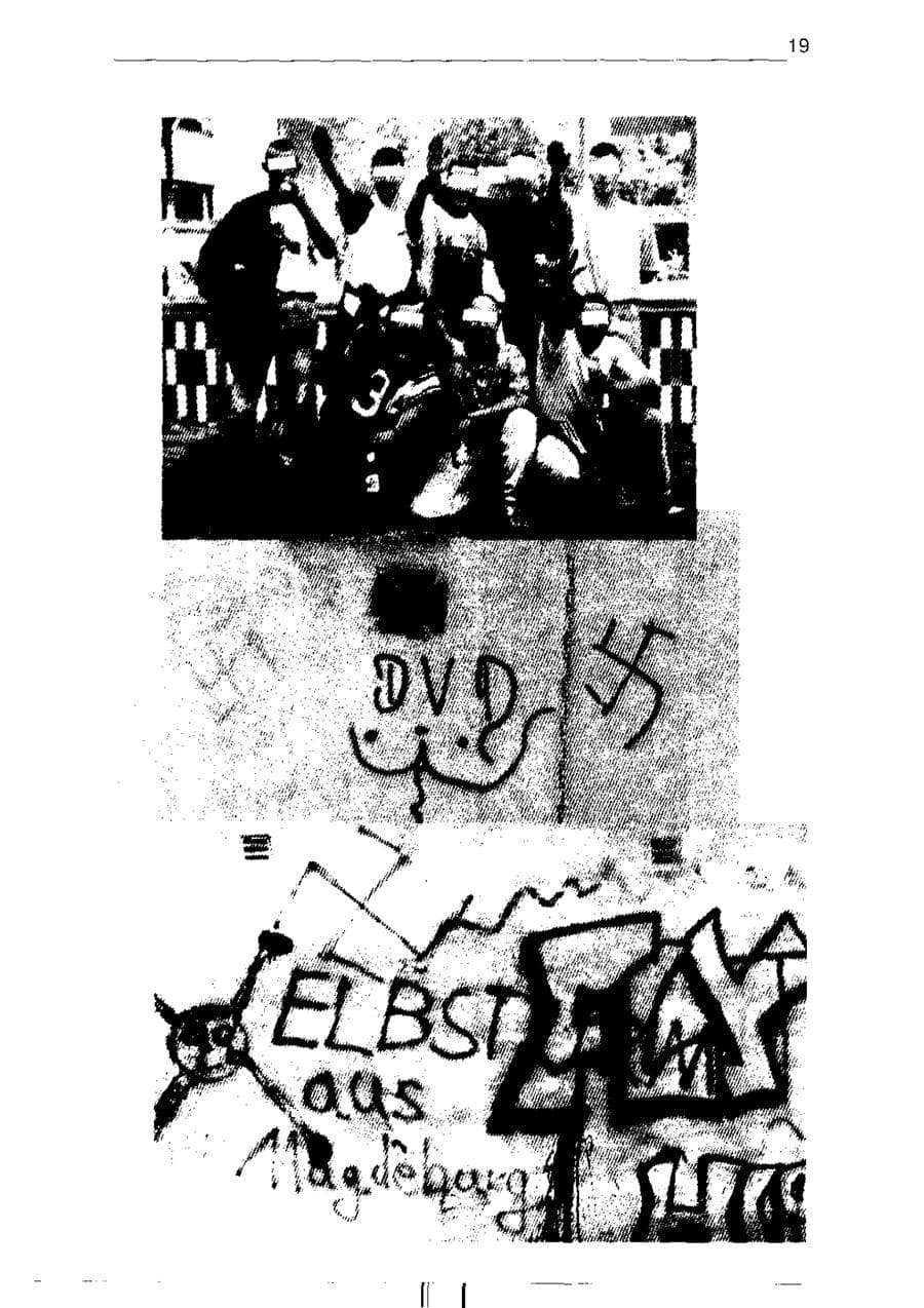 Seite 31 des Verfassungsschutzbericht 1995 Sachsen-Anhalt