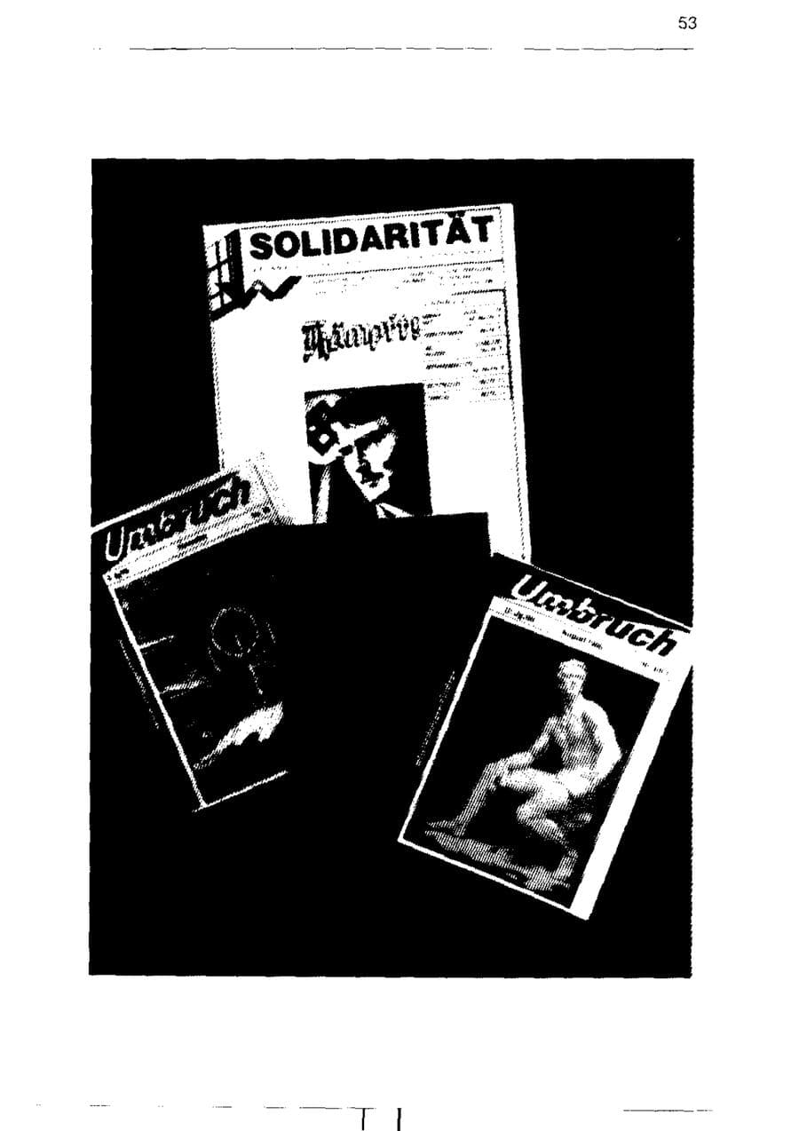 Seite 65 des Verfassungsschutzbericht 1995 Sachsen-Anhalt